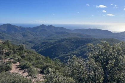 Mont Vinaigre, Estérel - Sud de la France