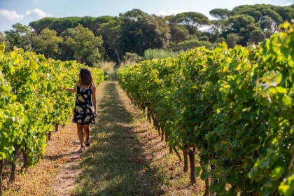 balade vignobles Fréjus