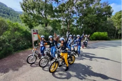 groupe effet de mob