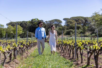 Vignes du clos des roses Fréjus