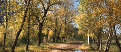 Balade nature couleurs automnales