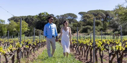 Coffret Noel : dégustation de vin dans un domaine viticole