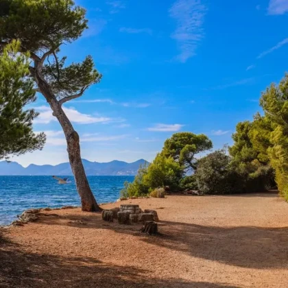 Pique-nique île Sainte-Marguerite