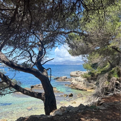 Crique sauvage ile sainte marguerite