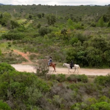 Centre équestre var balade à cheval dans l'Estérel