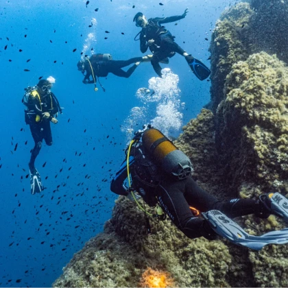 Plongée sous marine Var