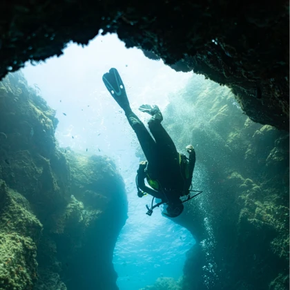 Plongée sous marine Côte d'Azur