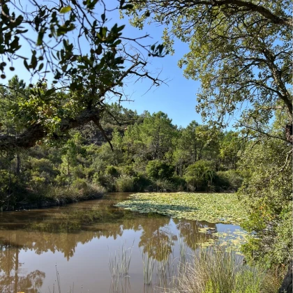 Massif de l'Estérel randonnée de l'Etang d'Aubert