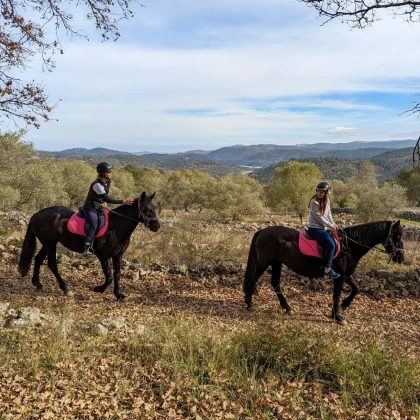 Equitation Côte d'Azur