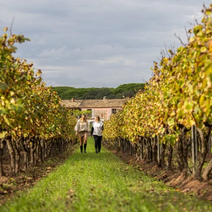 Visite de domaine viticole à l'automne