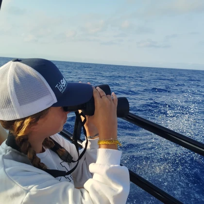sortie pédagogique observation des dauphins en Méditerranée