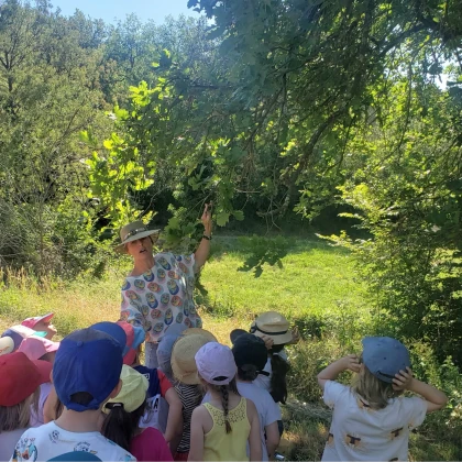 guide naturaliste expliquant la biodiversité lors d'une sortie scolaire