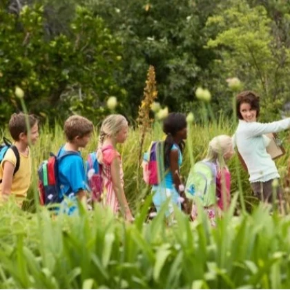 Balade nature dans le massif de l’Estérel avec enfants et guide naturaliste