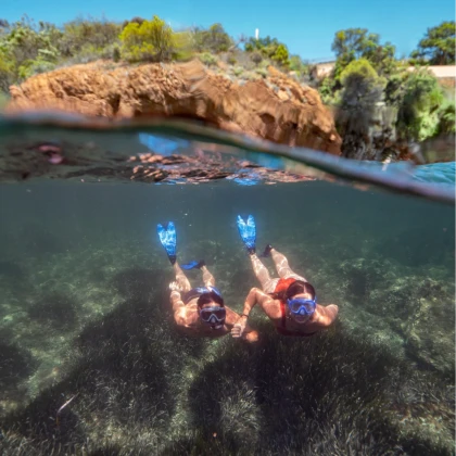 Sortie snorkeling Saint-Raphaël