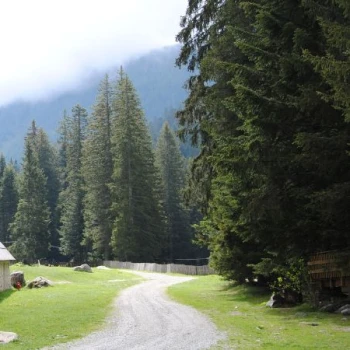 parc national du Mercantour des Alpes Maritimes