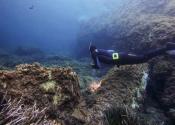 Apnée et rando palmée - Expérience Côte d'Azur