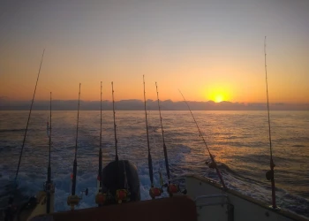 Pêche - Expérience Côte d'Azur