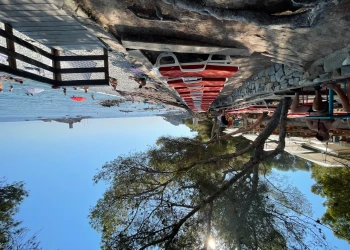 Location transat - Expérience Côte d'Azur