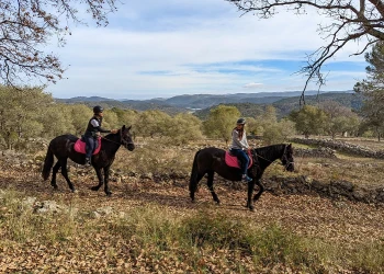 Balade à cheval Var - Expérience Côte d'Azur