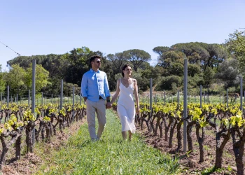 Dégustation de vin - Expérience Côte d'Azur