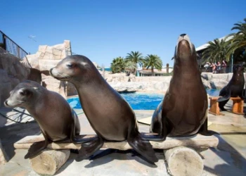 Parcs & animaux - Expérience Côte d'Azur