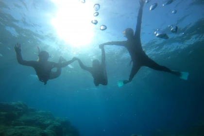 20 000 vies sous la Mer, l'école de la découverte - Expérience Côte d'Azur