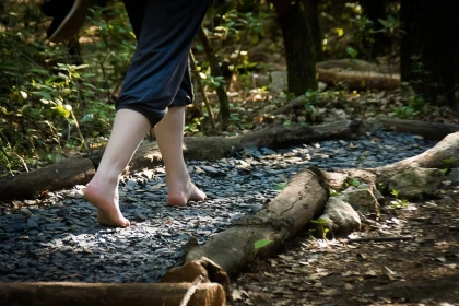Entrée promo - Parc Aoubré et Accrobranche Flassans - Expérience Côte d'Azur