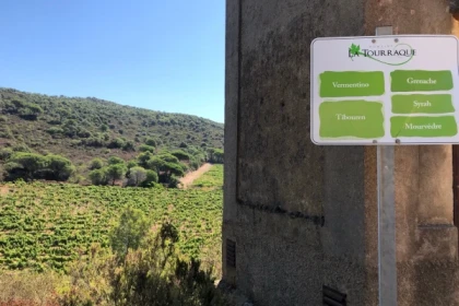 Atelier Assemblage de vins à Ramatuelle - Expérience Côte d'Azur