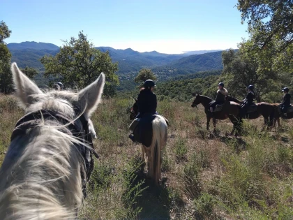 Balade à cheval avec apéritif fermier au lac de Saint-Cassien – Pays de Fayence - Expérience Côte d'Azur