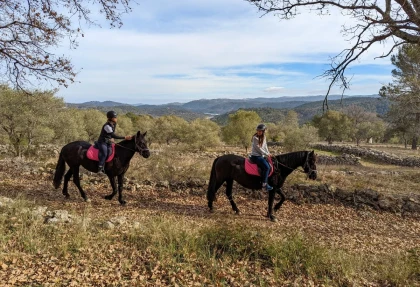 Balade à cheval avec apéritif fermier au lac de Saint-Cassien – Pays de Fayence - Expérience Côte d'Azur