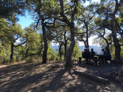 Balade à cheval avec apéritif fermier au lac de Saint-Cassien – Pays de Fayence - Expérience Côte d'Azur