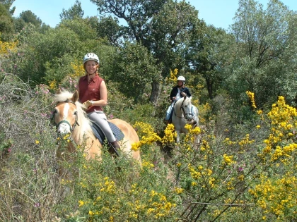 Balade à cheval cavalier moyen dans l’Estérel – Vue mer à Saint-Raphaël - Expérience Côte d'Azur