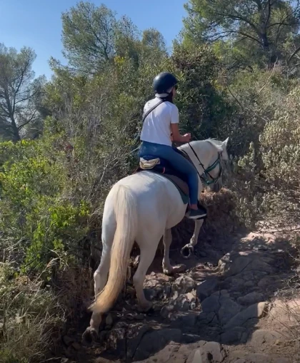Balade à cheval débutant avec vue mer – Saint-Raphaël (Estérel) - Expérience Côte d'Azur