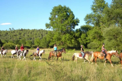 Balade à Cheval - Découverte du Lac de Saint Cassien 2h - Expérience Côte d'Azur
