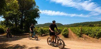 Balade découverte en trotinette au coeur du vignoble du Château Sainte Roseline - Expérience Côte d'Azur