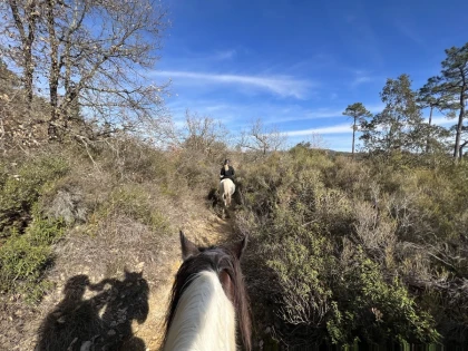 Balade demi-journée à cheval au lac St Cassien - Expérience Côte d'Azur