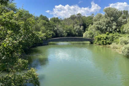 Balade en VTT électrique autour du lac de Saint Cassien - Expérience Côte d'Azur