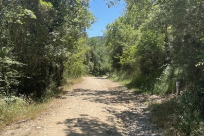 Balade en VTT électrique autour du lac de Saint Cassien - Expérience Côte d'Azur