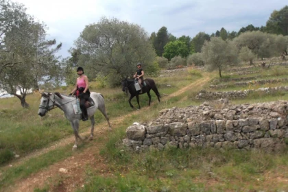 balade équestre Haras villards - Callian - Expérience Côte d'Azur