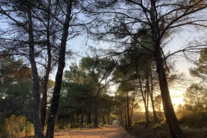 Balade naturaliste à la Lieutenante - Expérience Côte d'Azur