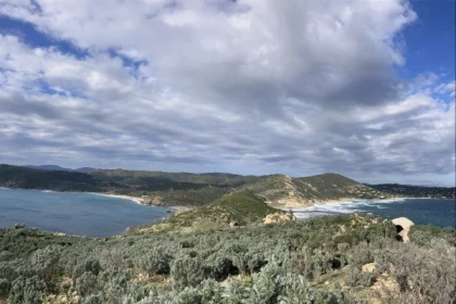 Balade naturaliste au Cap Taillat - Expérience Côte d'Azur