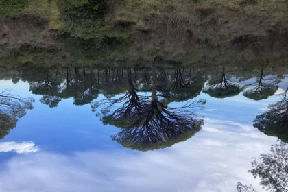 Balade naturaliste aux lacs inattendus - Expérience Côte d'Azur