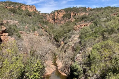 Balade naturaliste de l'homo Bouvérien - Expérience Côte d'Azur