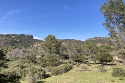 Balade naturaliste de l'homo Bouvérien - Expérience Côte d'Azur