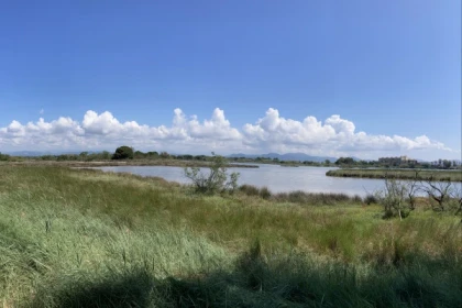 Balade naturaliste à Fréjus - Les étangs de Villepey - Expérience Côte d'Azur