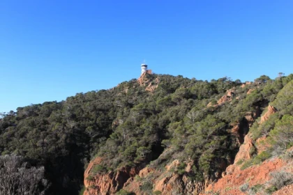Balade naturaliste du Dramont - Expérience Côte d'Azur