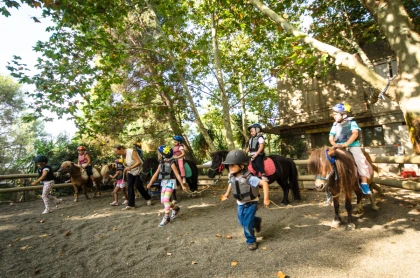 Bébé cavalier 2–4 ans – Atelier découverte équitation au Dramont, Saint-Raphaël - Expérience Côte d'Azur