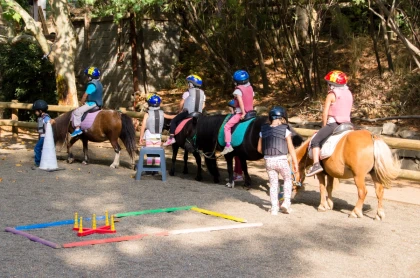  Bébé cavalier 2–4 ans –Encore bébé, et déjà cavalier. Atelier découverte équitation au Dramont, Saint-Raphaël - Expérience Côte d'Azur