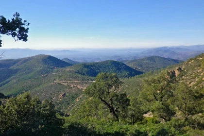 Carte ONF - Forêt domaniale de l'Estérel - Expérience Côte d'Azur