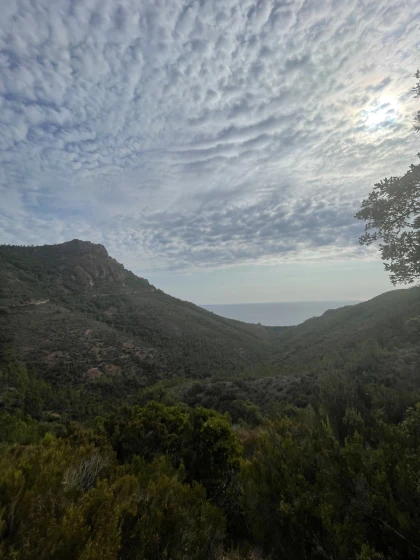 De pic en calanque, découverte d'Aurelle - Expérience Côte d'Azur